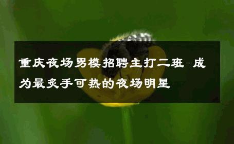 重庆夜场男模招聘主打二班-成为最炙手可热的夜场明星 
