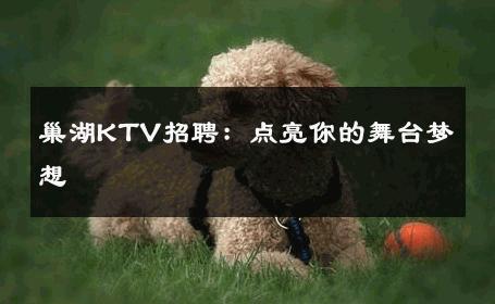 巢湖KTV招聘：点亮你的舞台梦想 
