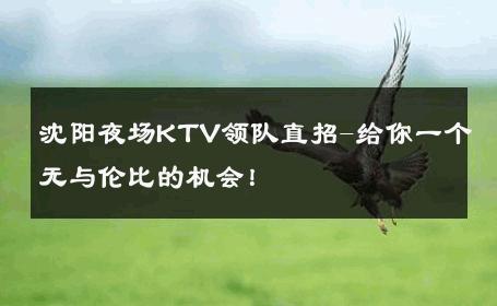 沈阳夜场KTV领队直招-给你一个无与伦比的机会！ 