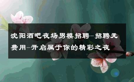 沈阳酒吧夜场男模招聘-招聘无费用-开启属于你的精彩之夜 