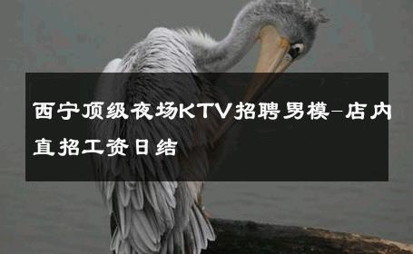 西宁顶级夜场KTV招聘男模-店内直招工资日结 