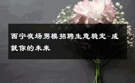西宁夜场男模招聘生意稳定-成就你的未来 