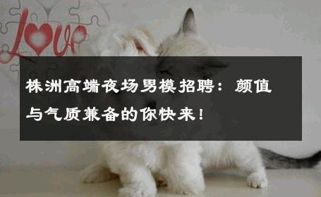 株洲高端夜场男模招聘：颜值与气质兼备的你快来！ 