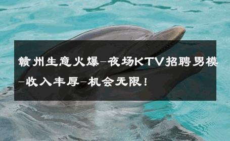 赣州生意火爆-夜场KTV招聘男模-收入丰厚-机会无限！ 