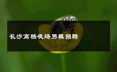 长沙高档夜场男模招聘 