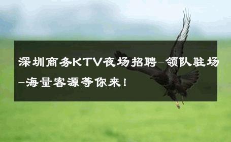 深圳商务KTV夜场招聘-领队驻场-海量客源等你来！ 