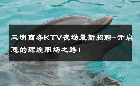 三明商务KTV夜场最新招聘-开启您的辉煌职场之路！ 