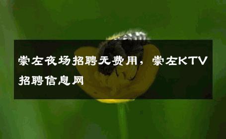 崇左夜场招聘无费用，崇左KTV招聘信息网