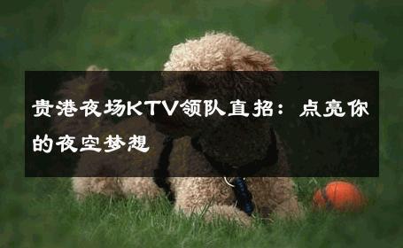 贵港夜场KTV领队直招：点亮你的夜空梦想 