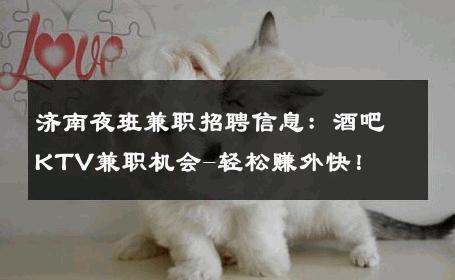 济南夜班兼职招聘信息：酒吧KTV兼职机会-轻松赚外快！ 