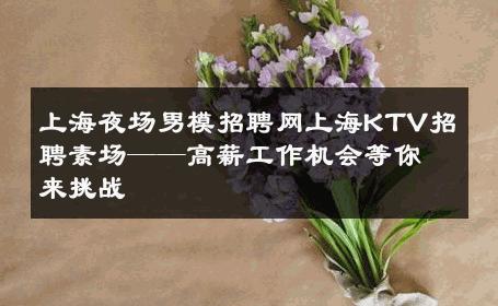 上海夜场男模招聘网上海KTV招聘素场——高薪工作机会等你来挑战 