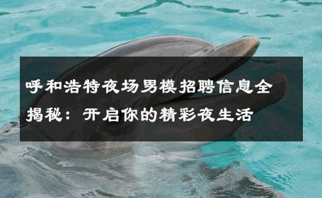 呼和浩特夜场男模招聘信息全揭秘：开启你的精彩夜生活 