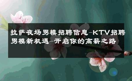 拉萨夜场男模招聘信息-KTV招聘男模新机遇-开启你的高薪之路 