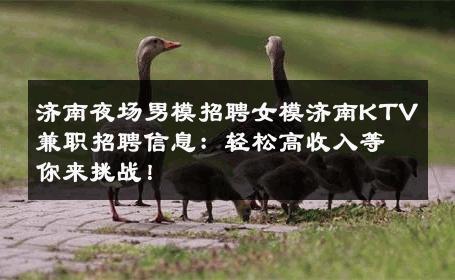 济南夜场男模招聘女模济南KTV兼职招聘信息：轻松高收入等你来挑战！ 