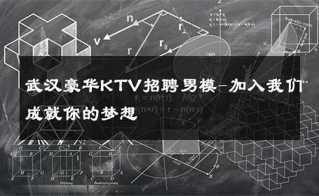 武汉豪华KTV招聘男模-加入我们成就你的梦想 