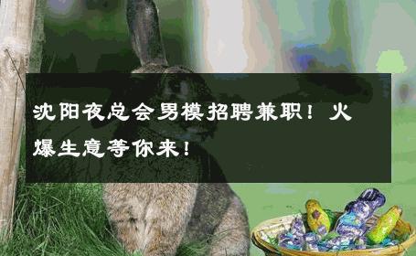 沈阳夜总会男模招聘兼职！火爆生意等你来！ 