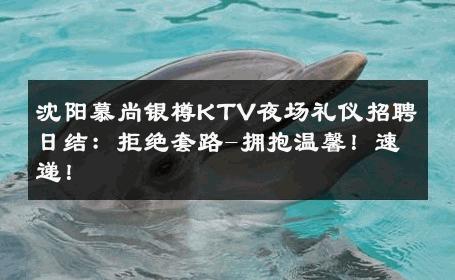 沈阳慕尚银樽KTV夜场礼仪招聘日结：拒绝套路-拥抱温馨！速递！ 