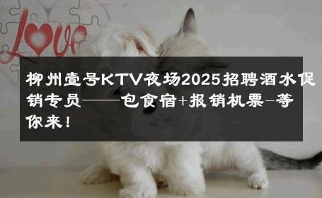 柳州壹号KTV夜场2025招聘酒水促销专员——包食宿+报销机票-等你来！ 