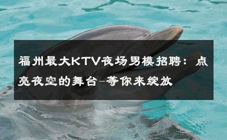福州最大KTV夜场男模招聘：点亮夜空的舞台-等你来绽放 