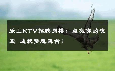乐山KTV招聘男模：点亮你的夜空-成就梦想舞台！ 