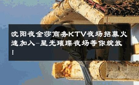 沈阳夜金莎商务KTV夜场招募火速加入-星光璀璨夜场等你绽放！ 