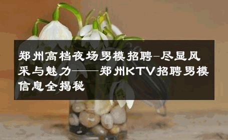 郑州高档夜场男模招聘-尽显风采与魅力——郑州KTV招聘男模信息全揭秘 