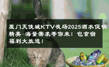 厦门天使城KTV夜场2025酒水促销精英-海量需求等你来！包食宿福利大放送！ 