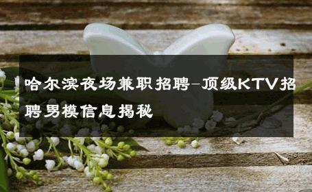 哈尔滨夜场兼职招聘-顶级KTV招聘男模信息揭秘 