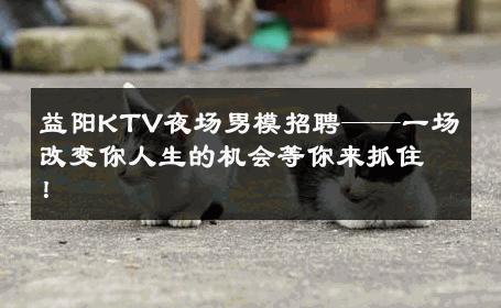 益阳KTV夜场男模招聘——一场改变你人生的机会等你来抓住！ 