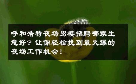 呼和浩特夜场男模招聘哪家生意好？让你轻松找到最火爆的夜场工作机会！ 