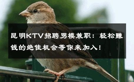 昆明KTV招聘男模兼职：轻松赚钱的绝佳机会等你来加入！ 