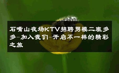 石嘴山夜场KTV招聘男模二班多多-加入我们-开启不一样的精彩之旅 