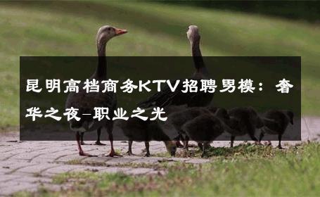 昆明高档商务KTV招聘男模：奢华之夜-职业之光 