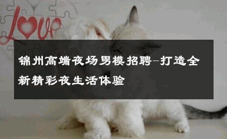 锦州高端夜场男模招聘-打造全新精彩夜生活体验 