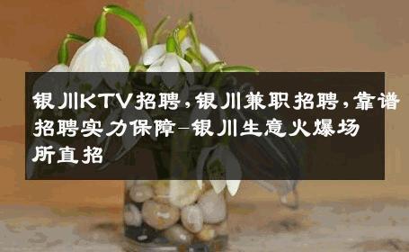银川KTV招聘,银川兼职招聘,靠谱招聘实力保障-银川生意火爆场所直招