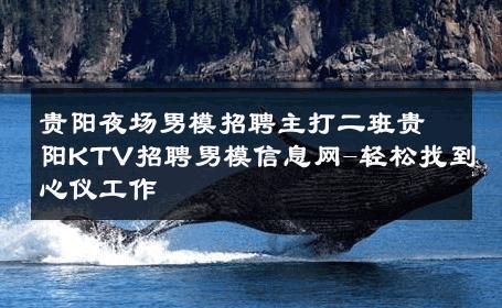 贵阳夜场男模招聘主打二班贵阳KTV招聘男模信息网-轻松找到心仪工作 