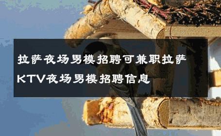 拉萨夜场男模招聘可兼职拉萨KTV夜场男模招聘信息 