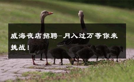 威海夜店招聘-月入过万等你来挑战！ 