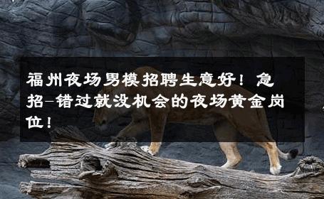 福州夜场男模招聘生意好！急招-错过就没机会的夜场黄金岗位！ 