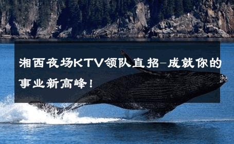 湘西夜场KTV领队直招-成就你的事业新高峰！ 