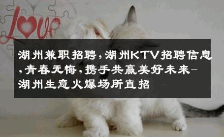 湖州兼职招聘,湖州KTV招聘信息,青春无悔,携手共赢美好未来-湖州生意火爆场所直招