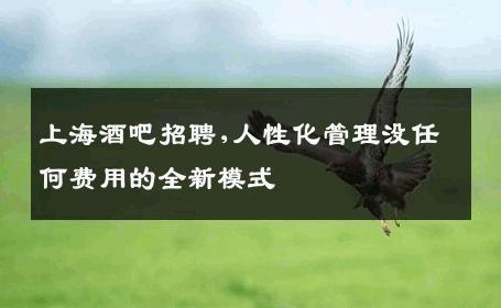 上海酒吧招聘,人性化管理没任何费用的全新模式 