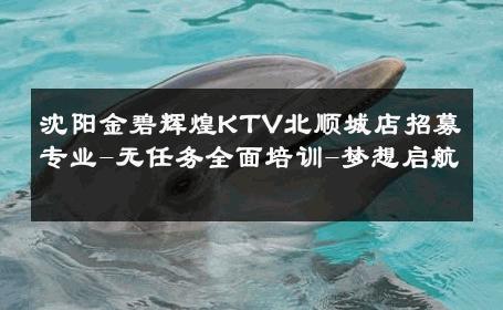 沈阳金碧辉煌KTV北顺城店招募专业-无任务全面培训-梦想启航 