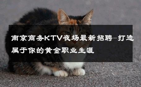 南京商务KTV夜场最新招聘-打造属于你的黄金职业生涯 