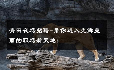 青田夜场招聘-带你进入光鲜亮丽的职场新天地！ 