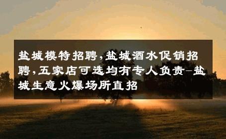盐城模特招聘,盐城酒水促销招聘,五家店可选均有专人负责-盐城生意火爆场所直招