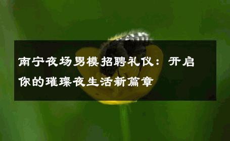 南宁夜场男模招聘礼仪：开启你的璀璨夜生活新篇章 