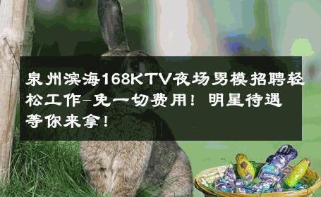 泉州滨海168KTV夜场男模招聘轻松工作-免一切费用！明星待遇等你来拿！ 