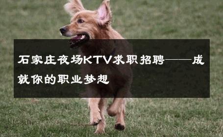石家庄夜场KTV求职招聘——成就你的职业梦想 