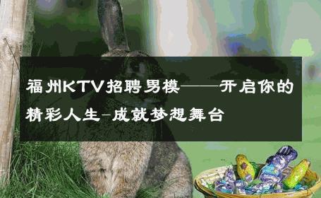 福州KTV招聘男模——开启你的精彩人生-成就梦想舞台 